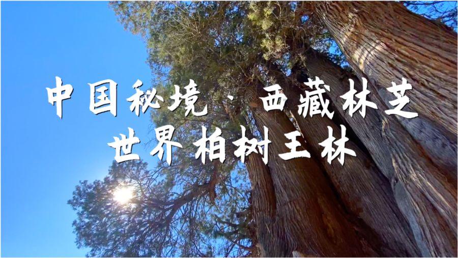 TDK贴片电容车规电容车载用电容